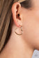 Paparazzi ♥ Burnished Beau - Gold ♥ Earrings